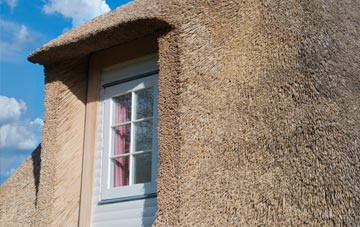 Coscote thatch roof disadvantages
